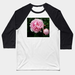 peony Baseball T-Shirt